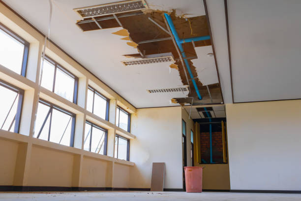 Water damage restoration mold remediation in West Concord, MA