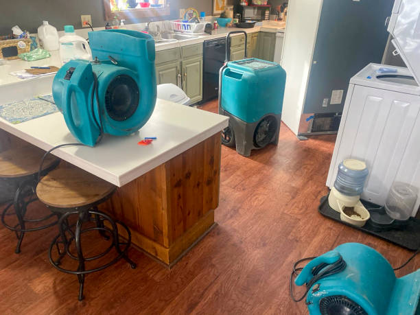 Best Carpet water damage restoration  in West Concord, MA