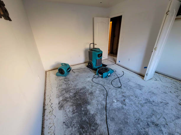 Best Water damage contractors near me  in West Concord, MA