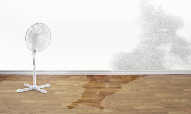 Trusted West Concord, MA Water damage restoration Experts