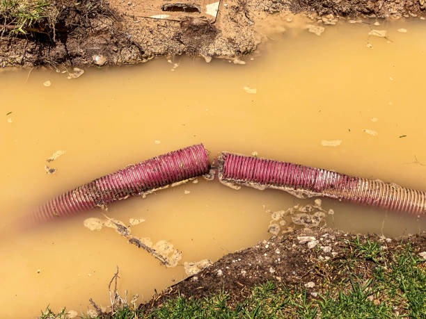 Best 24-hour water damage restoration  in West Concord, MA